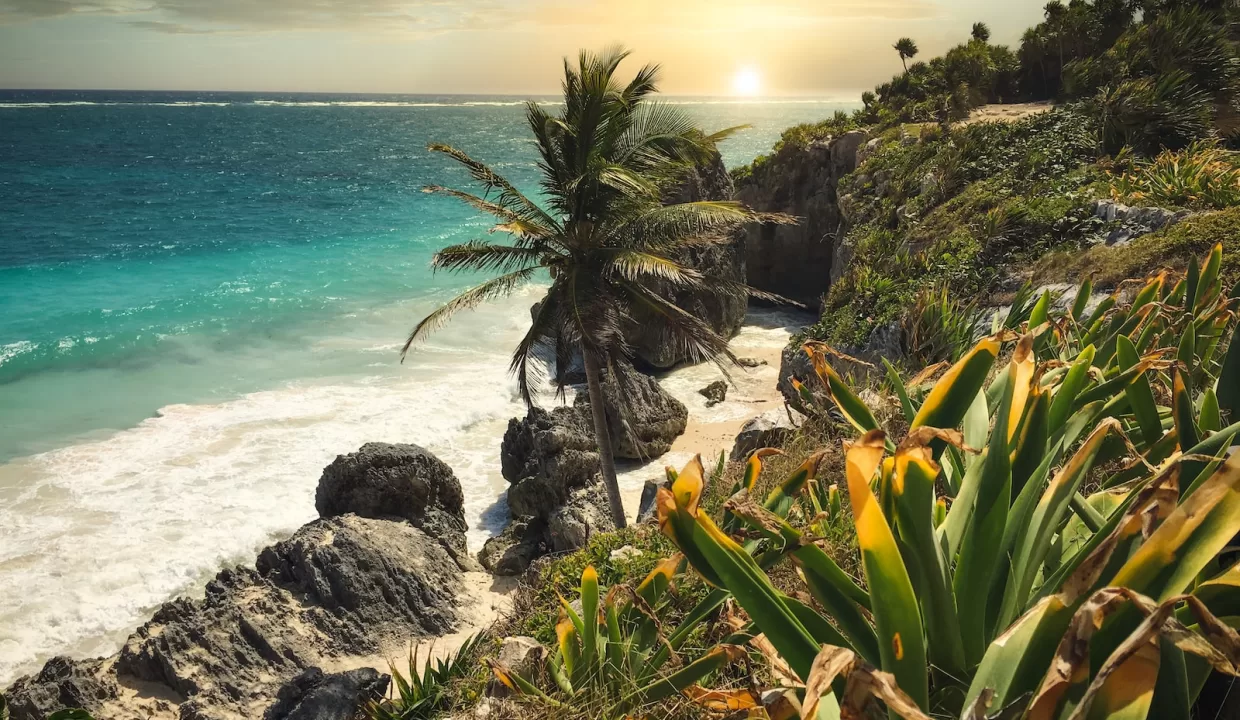 green palm tree near body of water during daytime