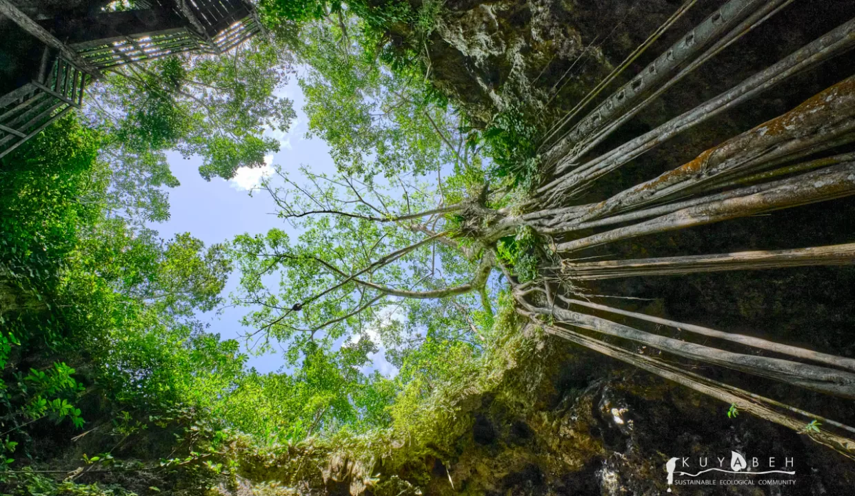 Cenote- Kuyabeh